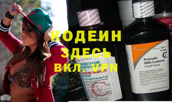 индика Горнозаводск