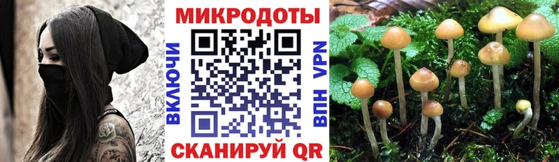 Галлюциногенные грибы Magic Shrooms купить наркоту Псков