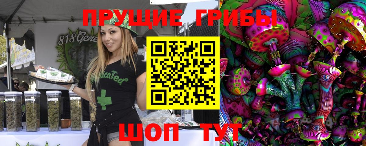 Псилоцибиновые грибы MAGIC MUSHROOMS  Вход с VPN  Псков 